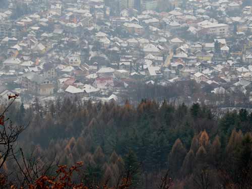 Foto La poalele Magurii (c) Lucian Petru Goja